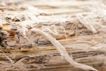 Rapid support for asbestos victims