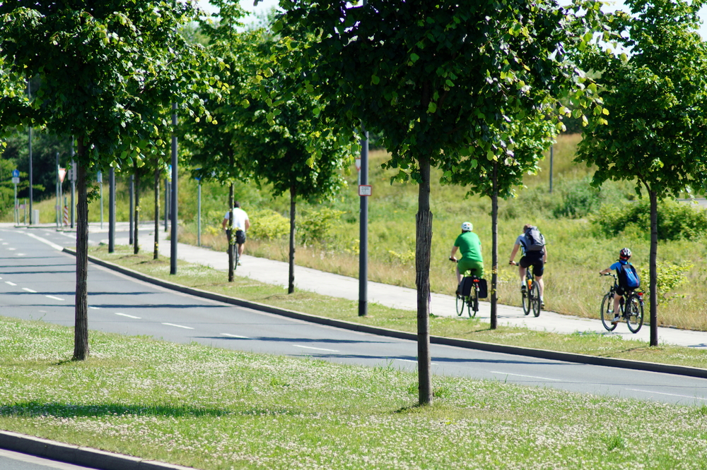 Statistiques des accidents de la route