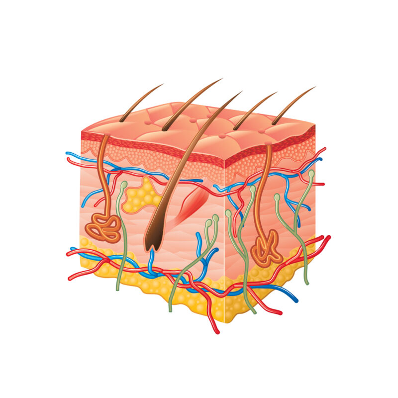 Scienziati, sudore